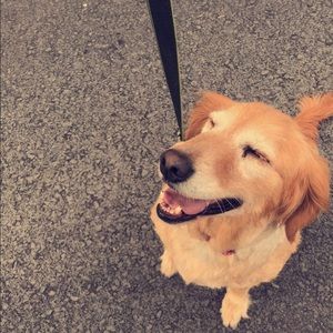 Meet your Posher, Reese